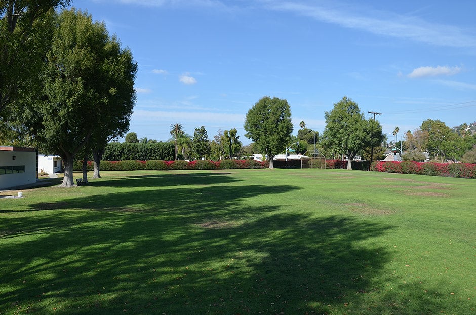 Main Field
