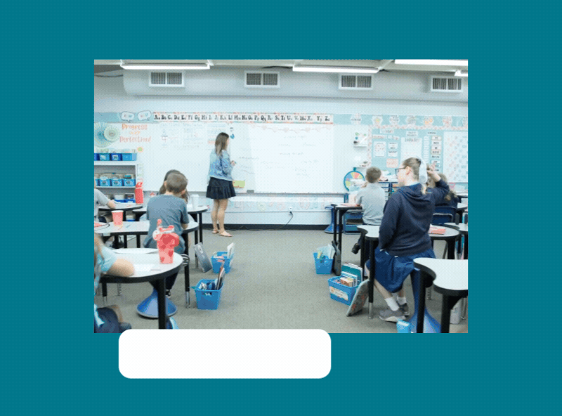 Website Literacy Classes Videos (3)
