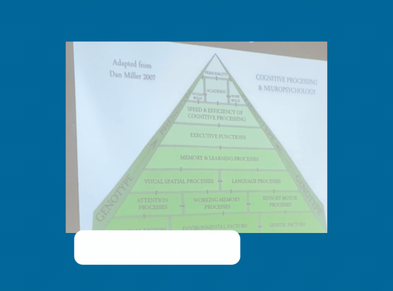 Website Social Emotional Classes Videos (4)